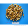 /msite/products/detail/productid/56803433/id/662490.html